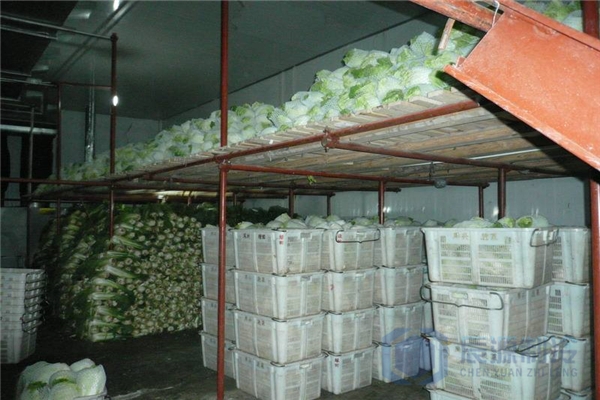 喀什蔬菜冷库厂家